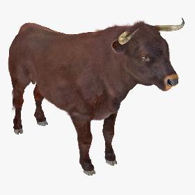 3D Bull Rigged with Fur